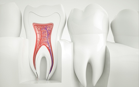 Animation of the inside of a tooth